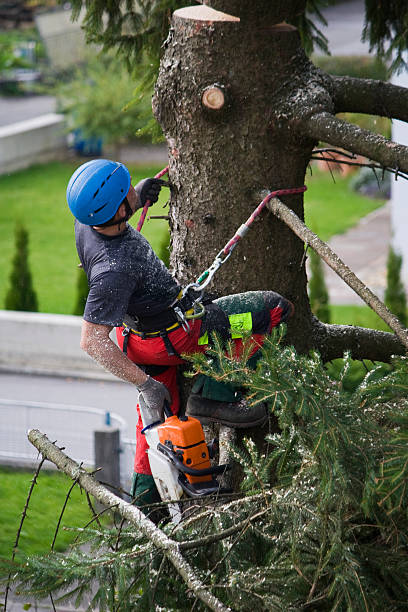 Mulching Services in River Falls, WI